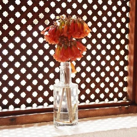 Lejlighed Casa Hibisco Mit Schoenem Garten By Interhome