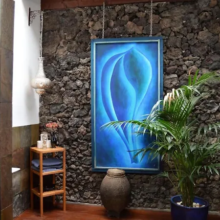 Lejlighed Casa Hibisco Mit Schoenem Garten By Interhome *