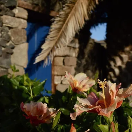 Lejlighed Casa Hibisco Mit Schoenem Garten By Interhome Uga
