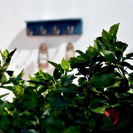 Casa Hibisco Mit Schoenem Garten By Interhome * Uga