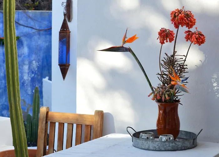 Appartement Casa Hibisco Mit Schoenem Garten By Interhome *