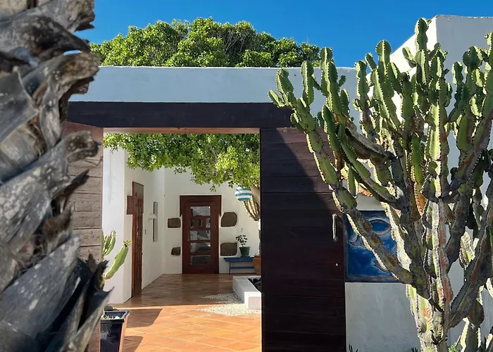 Casa Hibisco Mit Schoenem Garten By Interhome Appartement *